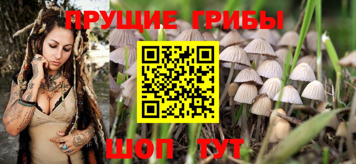 Похвистнево  Псилоцибиновые грибы мухоморы  Вход с VPN 